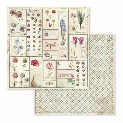 Stamperia Spring Botanic Designpapier - Herbarium
